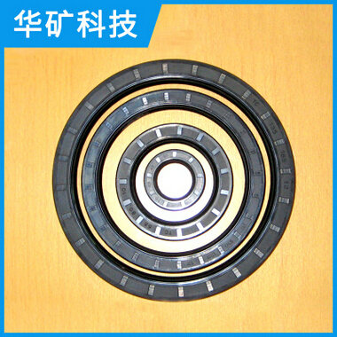 高压骨架油封